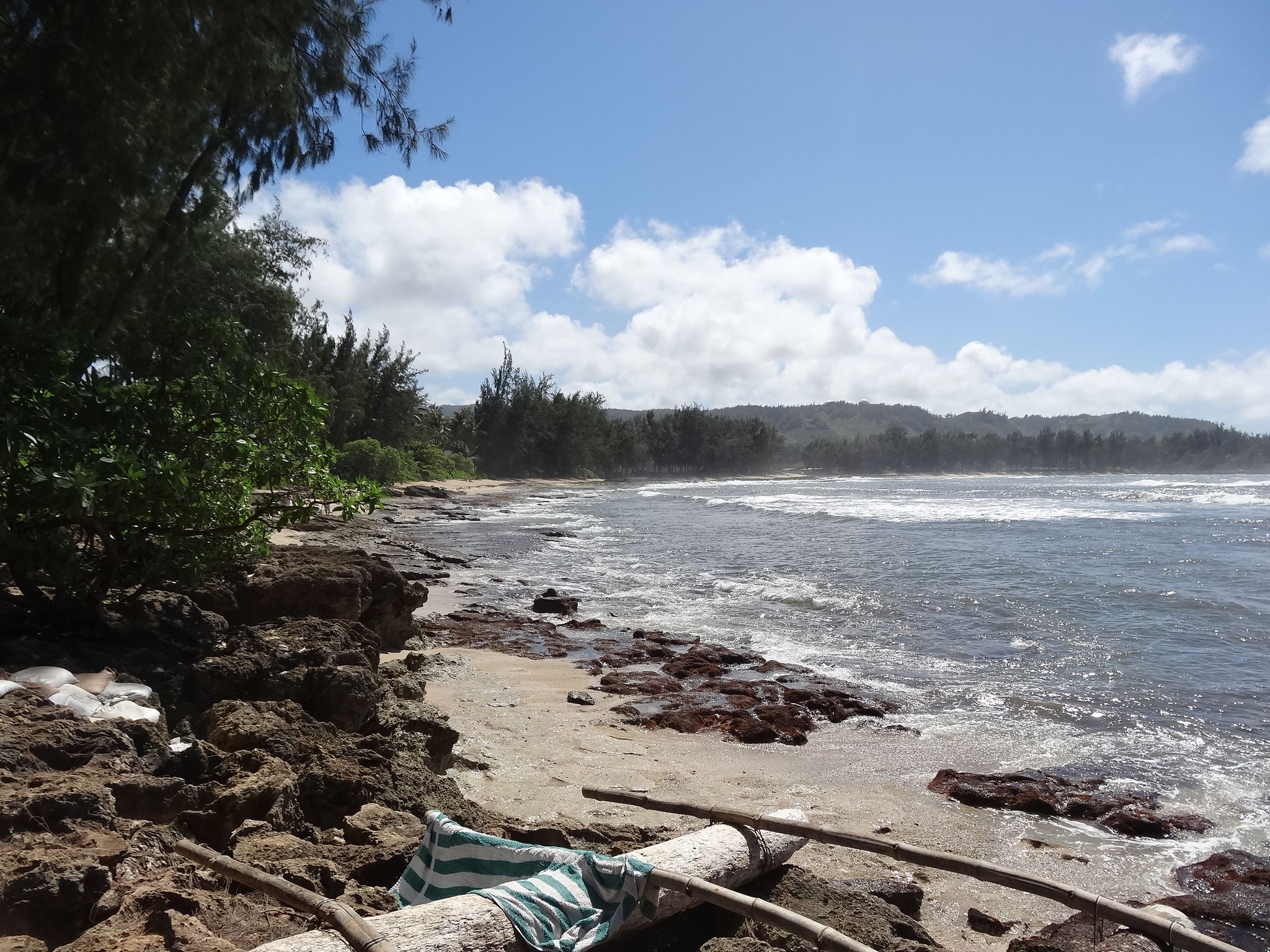 Sunny rocky beach with crashing waves and lush green trees. - Turtle Bay – The Banyan Tree loop from Kualoa Ranch