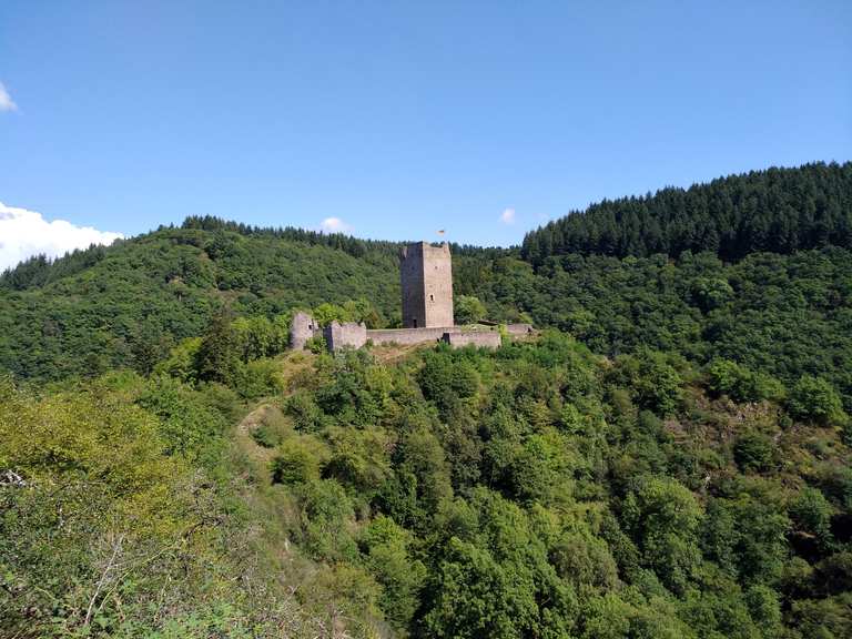 Oberburg Manderscheid Wanderungen und Rundwege komoot