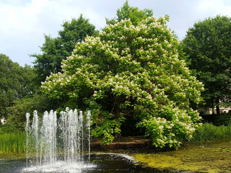 Mülheims Garten an der Ruhr wandelroutes en hikes Komoot
