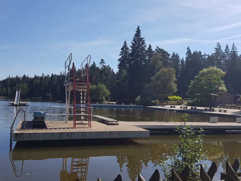 Langer Teich forest pool Routes for Walking and Hiking Komoot