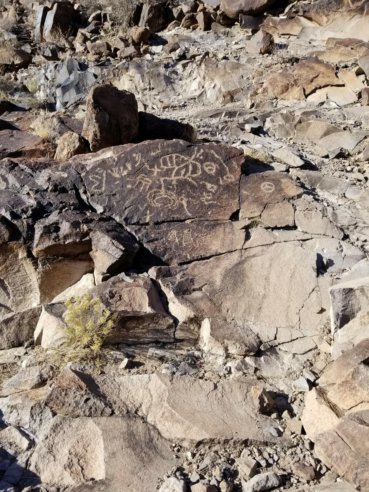 Ancient petroglyphs carved into a large, dark rock on a rocky hillside.