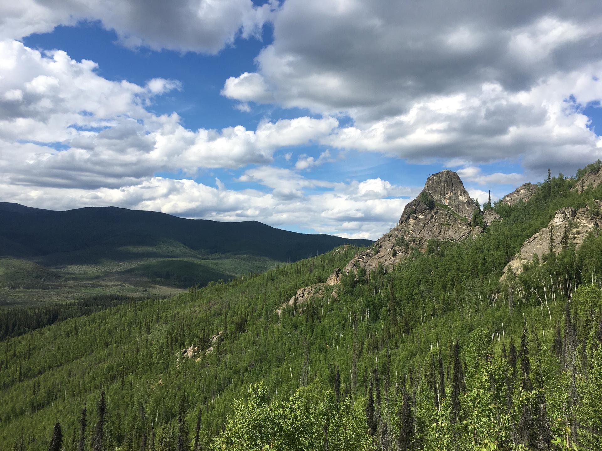 Rocky mountain peak surrounded by green forest under a cloudy blue sky.