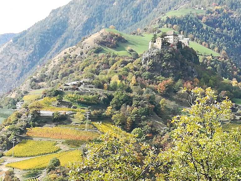 Wallburg Routes for Walking and Hiking Komoot