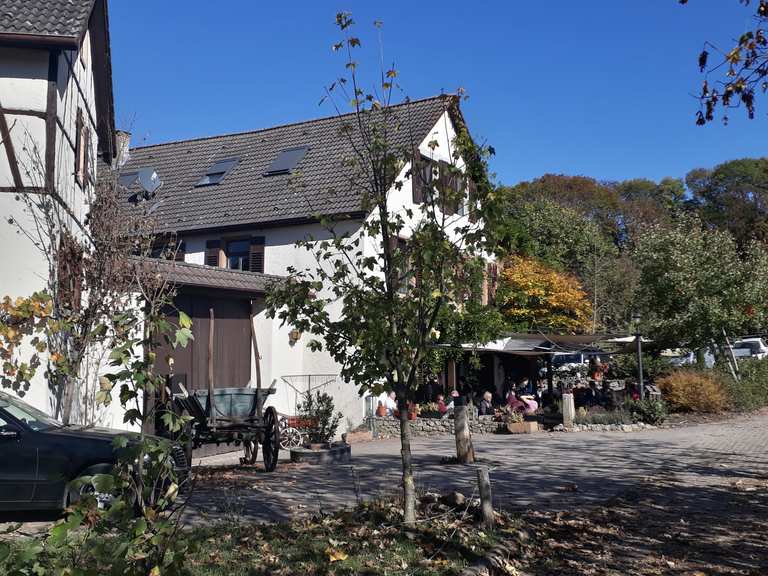Eulenmühle Wanderungen und Rundwege komoot
