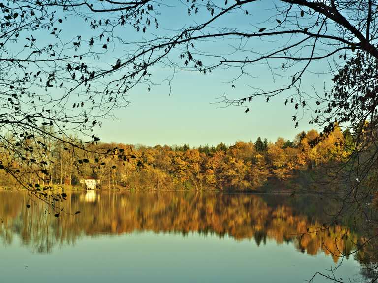 Vatteröder Teich Wanderungen und Rundwege komoot
