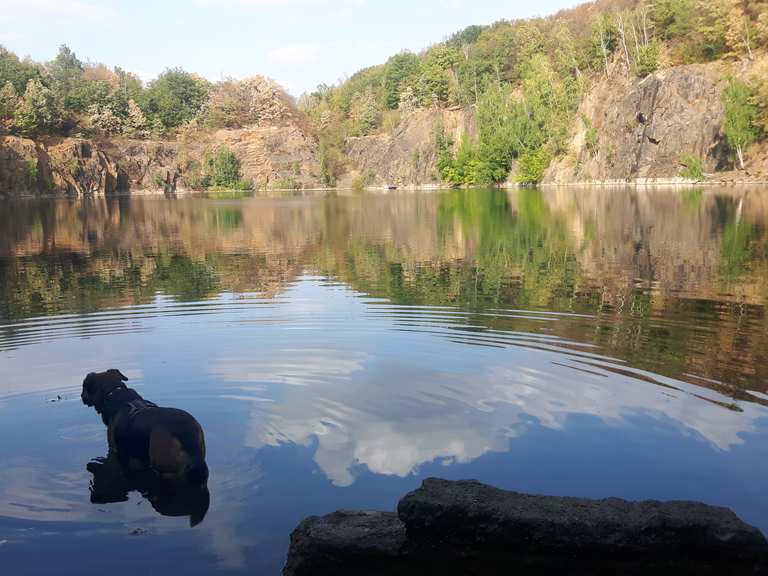 Steinbruch Haselberg Wanderungen und Rundwege komoot