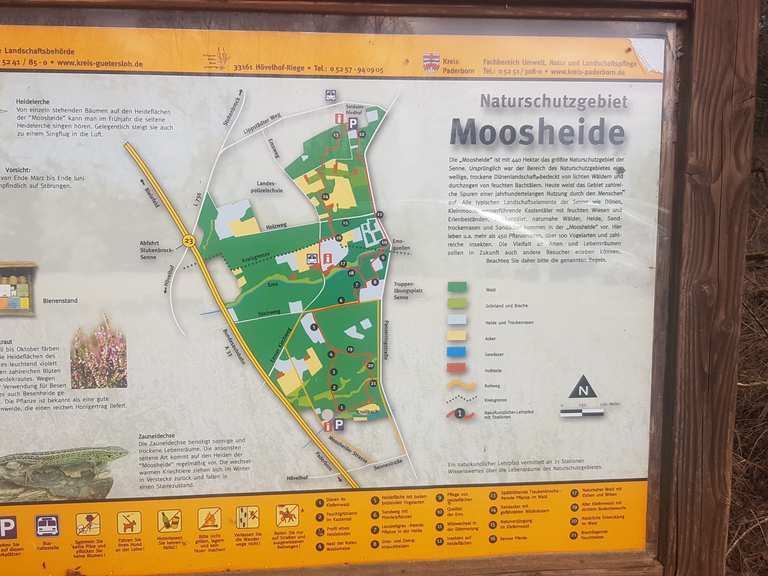 Heidefläche im Naturschutzgebiet Moosheide Wanderungen und Rundwege
