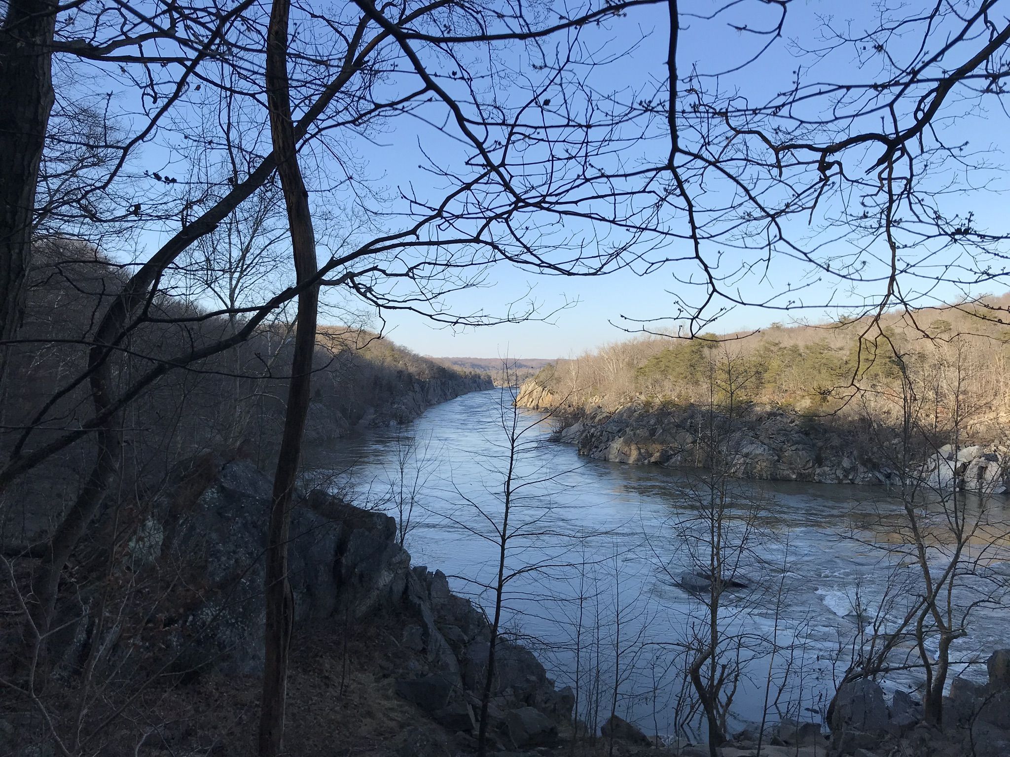 River flowing through a rocky gorge, framed by bare tree branches. - Difficult Run, Ridge and River Trail Loop