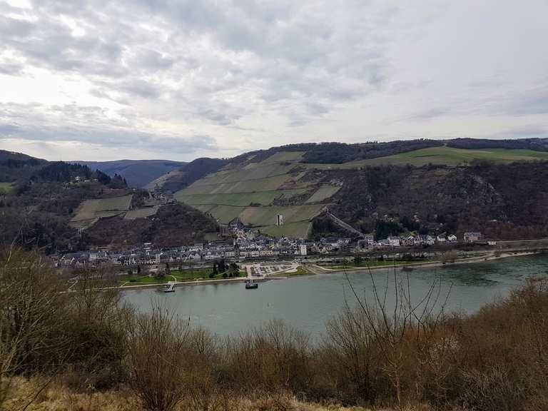 Rheinsteig Lorch bis Kaub Wanderungen und Rundwege komoot