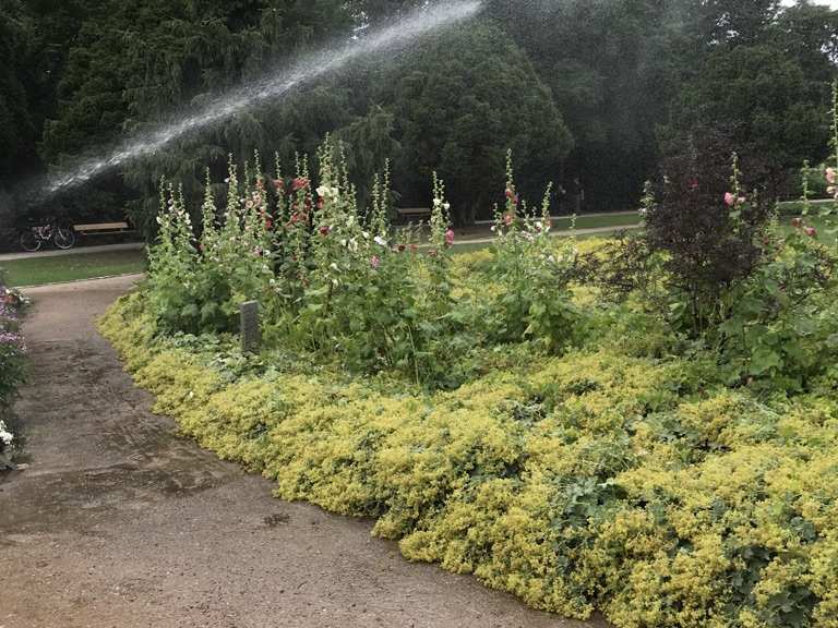 Botanischer Sondergarten Wandsbek Wanderungen und Rundwege komoot