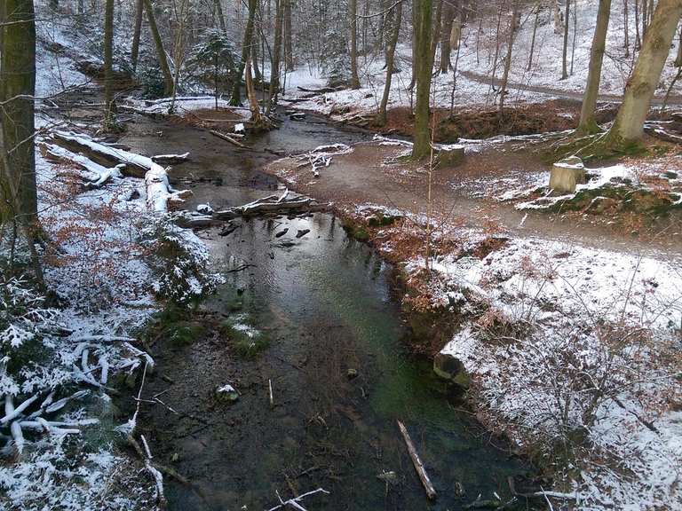 Detmold Donoper Teich Cycle Routes and Map Komoot
