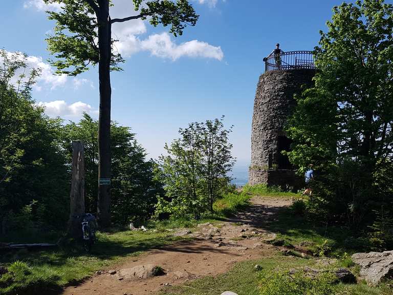 Hirschenstein Wanderungen und Rundwege komoot