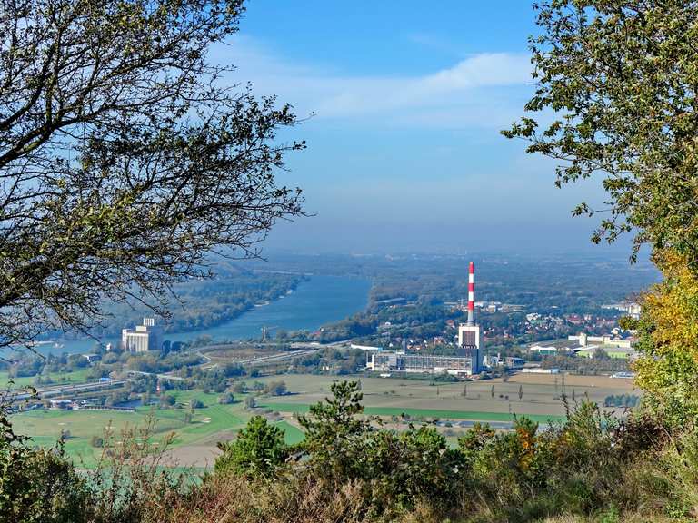 Von Langenzersdorf zur Elisabethhöhe - Weinwanderungen in Wien | Wanderung | Komoot