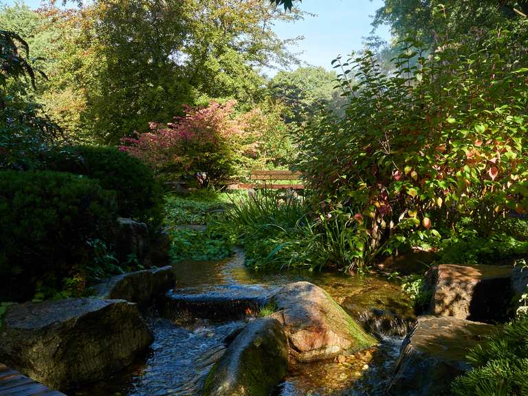 Alter Botanischer Garten Hamburg, Deutschland