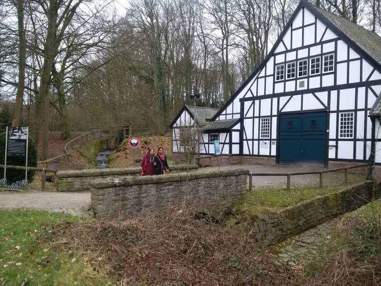 Halbachhammer Routes for Walking and Hiking Komoot