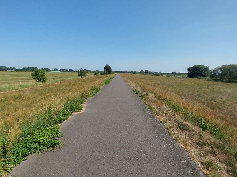 Weg an der Spree DissenStriesow, SpreeNeiße