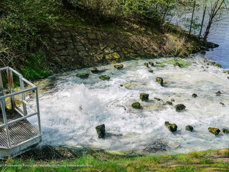 Harpener Teiche MountainbikeTouren und Trails komoot