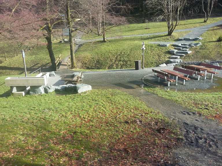 Diemelquelle Routes for Walking and Hiking | Komoot