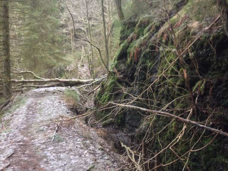 Grabenweg entlag Tiefer Stollen Wanderungen und Rundwege komoot