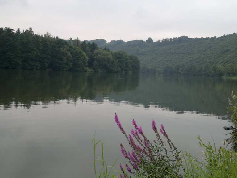 Mainschleife bei Urphar das Himmelreich vor Augen Radtouren und