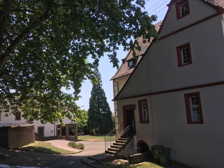 Schloss Schmieheim Radtouren und Radwege komoot