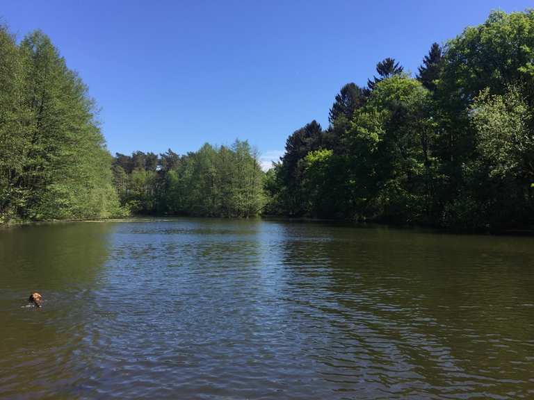 Schopketal am Menkhauser Bach Dalbker Teich Runde von Oerlinghausen