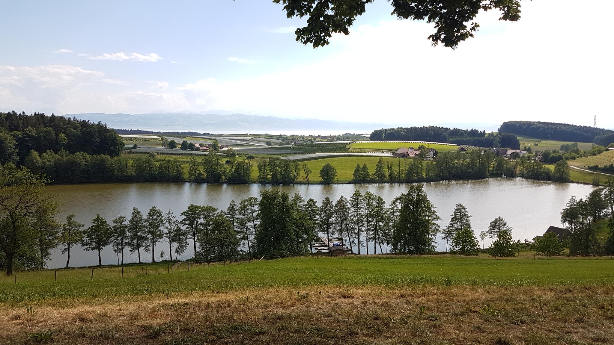 Ausflugsziele Rund Um Kressbronn Am Bodensee Die Top 20