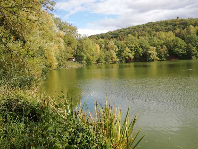 Vatteröder Teich Wanderungen und Rundwege komoot