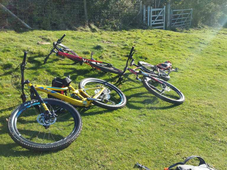 Stanmer discount park mtb