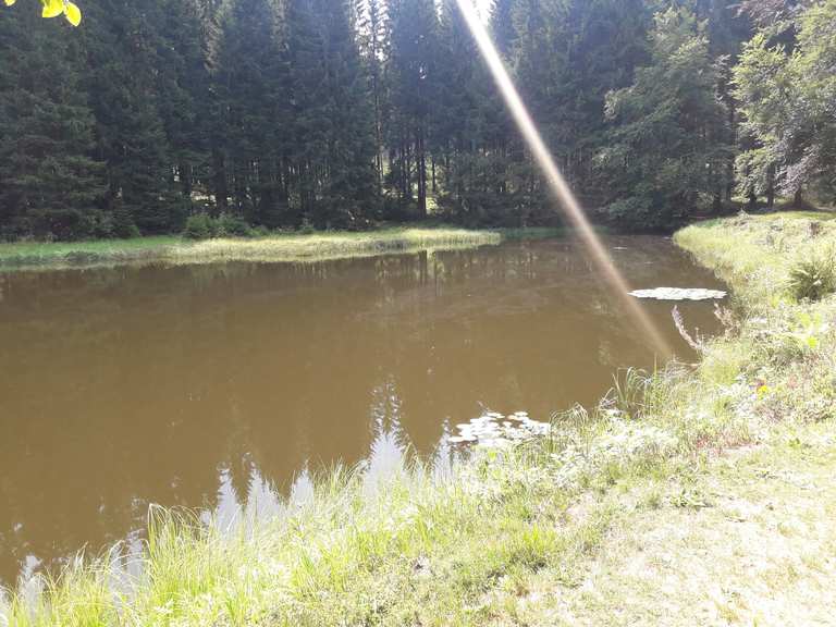 Schwarzer Teich Wanderungen und Rundwege komoot
