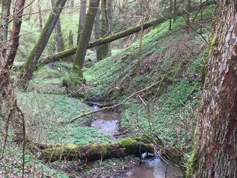 Blick auf Lahn und Gabelstein Gabelstein loop from Steinsberg hike