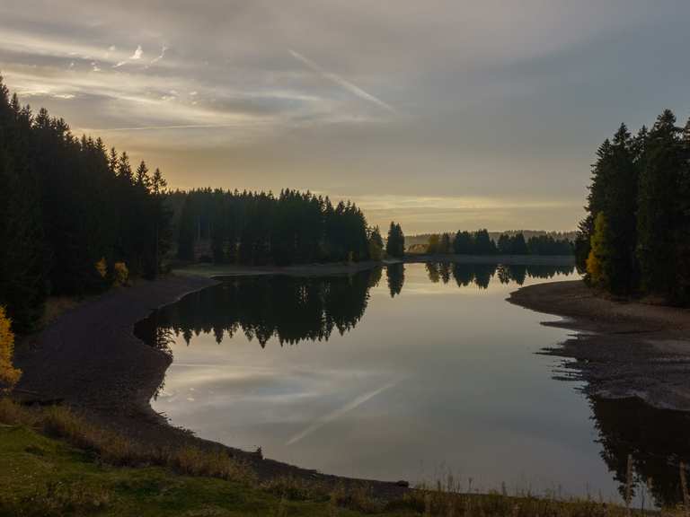 Bärenbrucher Teich (HWN 137) Wanderungen und Rundwege komoot