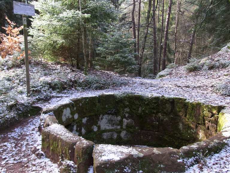 Wolfsgrube Wanderungen und Rundwege komoot