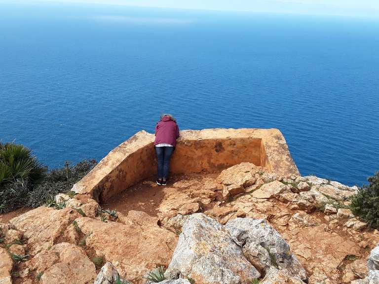 blick-auf-sa-dragonera-vom-mirador-d-en-josep-sastre-wander
