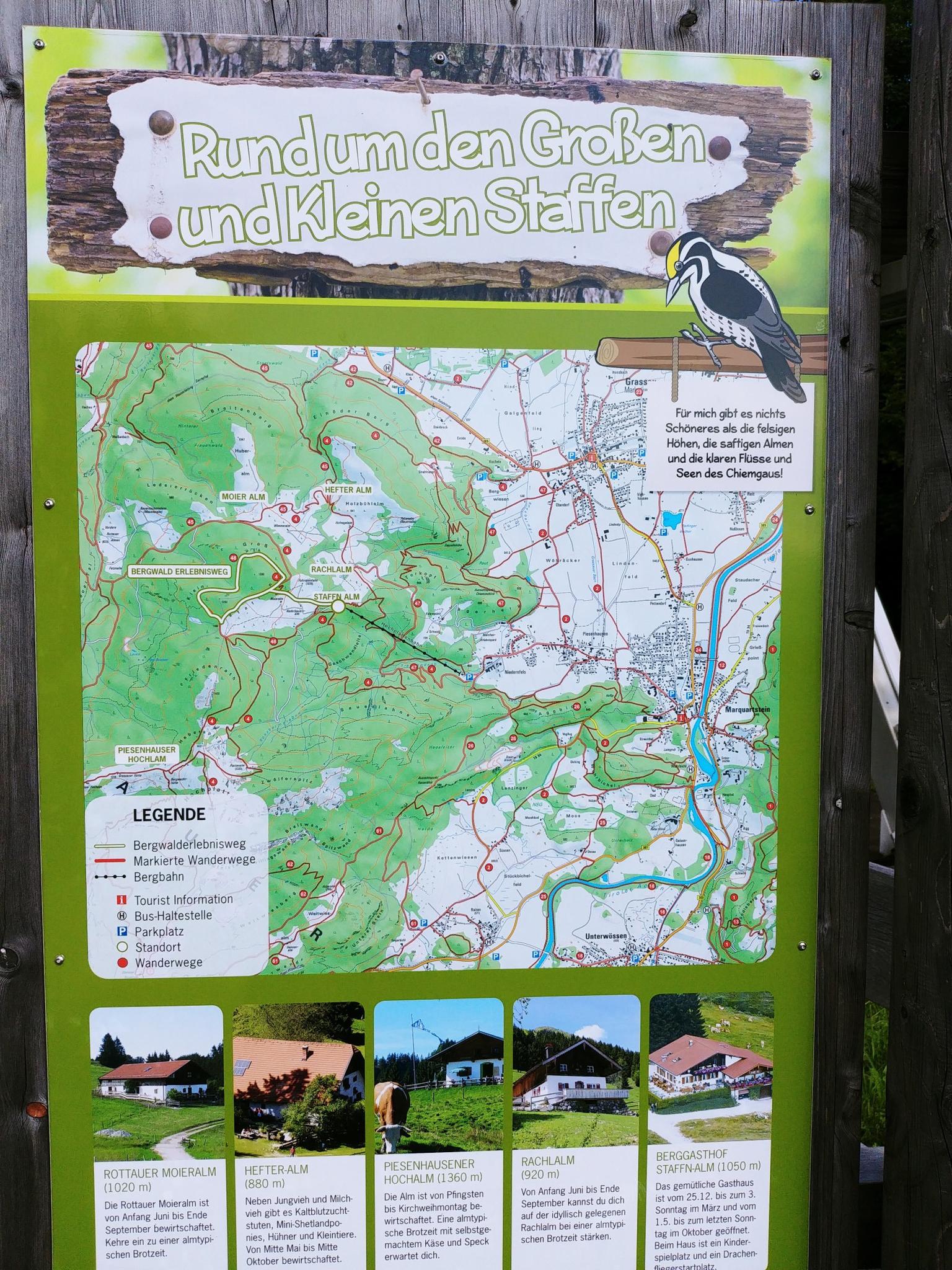Staffn-Alm Routes for Walking and Hiking  Komoot