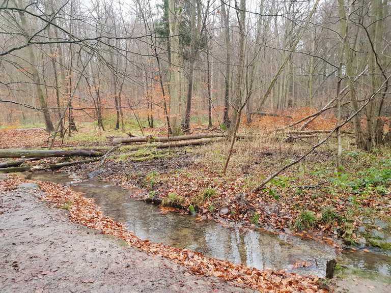 Hütter Wohld, Klosterteich - Bartenshagen-Parkentin ...