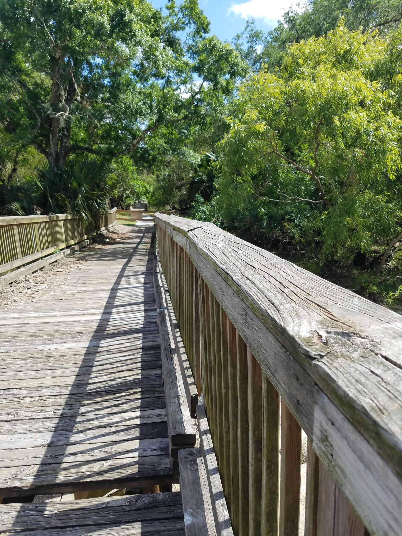 A long wooden boardwalk with railings extending through a sunlit green forest.
