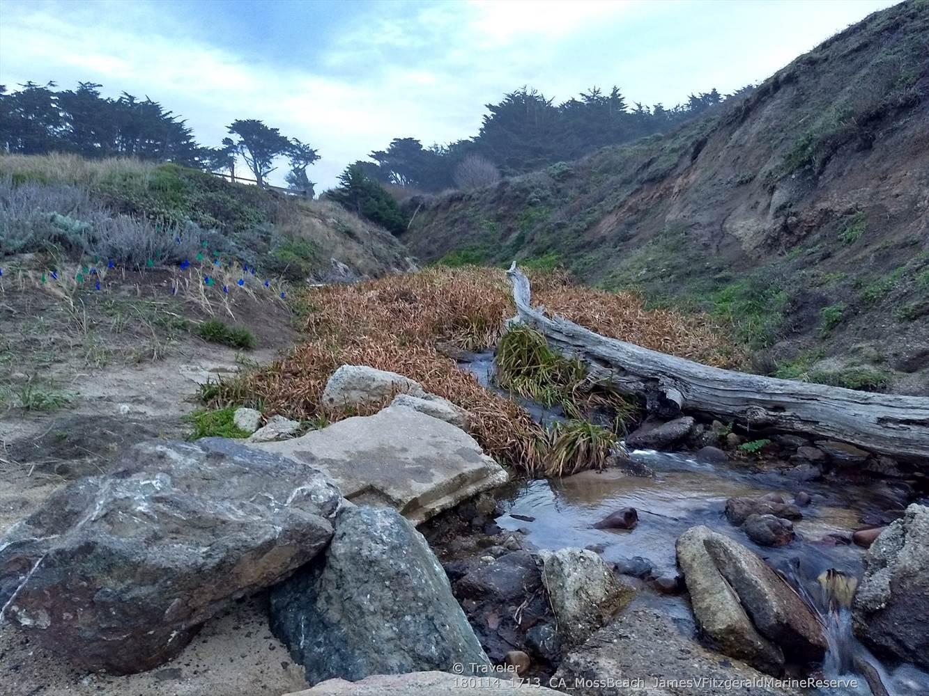 Small stream flowing over rocks with a fallen log, dry grass.