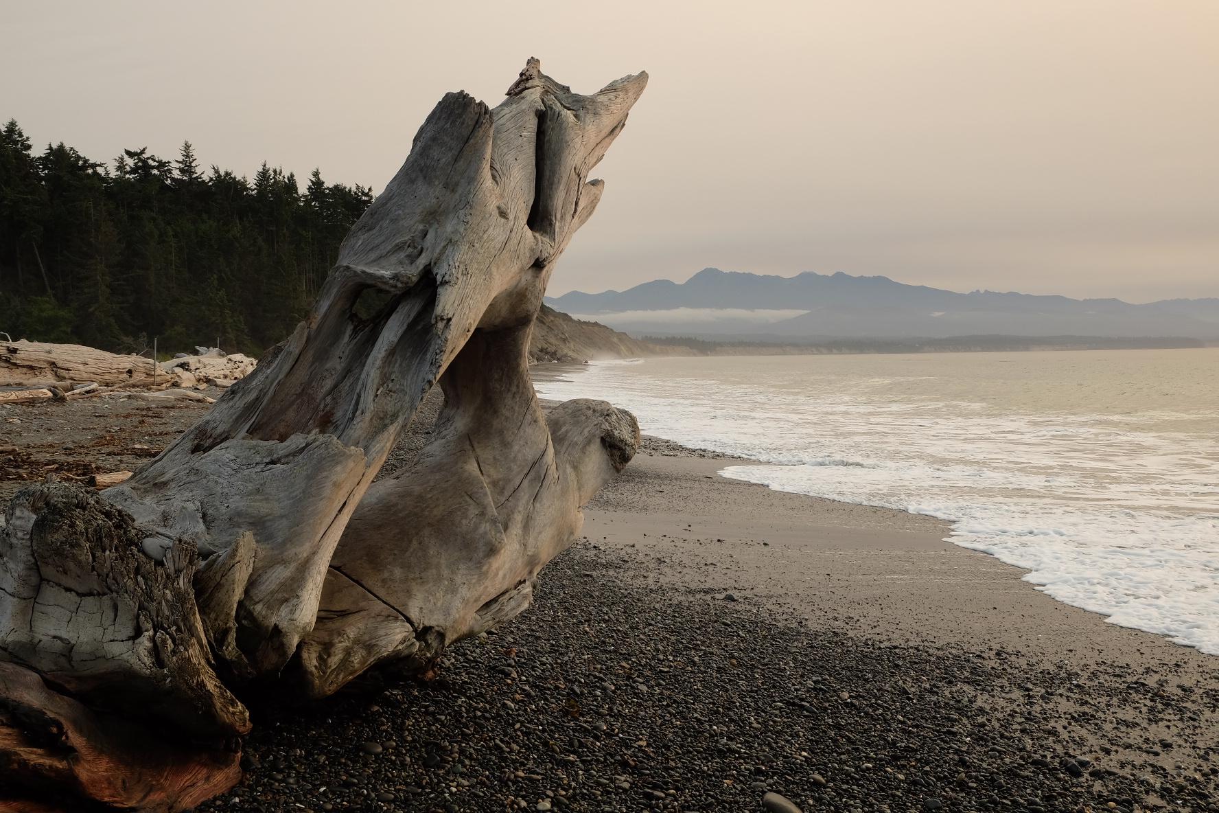 Large driftwood on a rocky beach with ocean and distant mountains under an overcast sky.