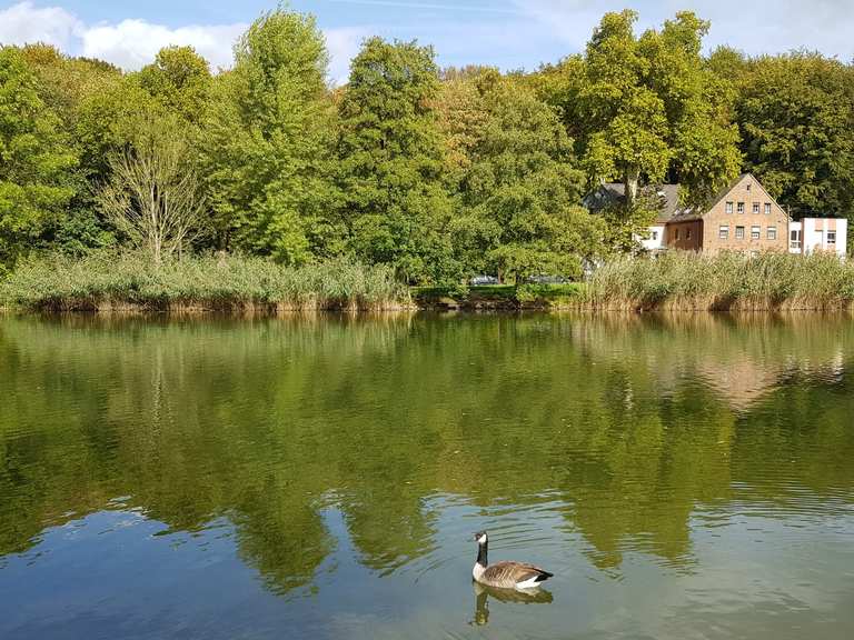 Volkspark Bochum Hiltrop Oberer StembergerTeich Runde von Hiltrop