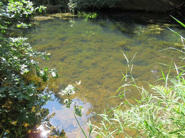 Verwunschener Teich Wanderungen und Rundwege komoot