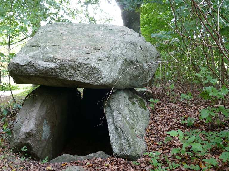 Ringsted
