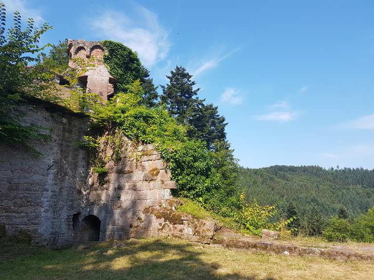 Ruine Wildenburg: Wanderungen und Rundwege | komoot