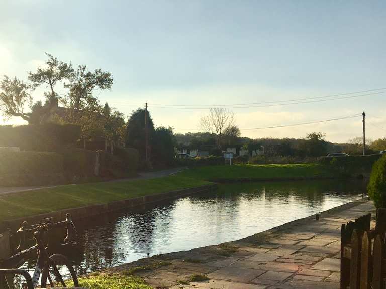 Vicar Water Great Section on forest track Loop from Kings Clipstone