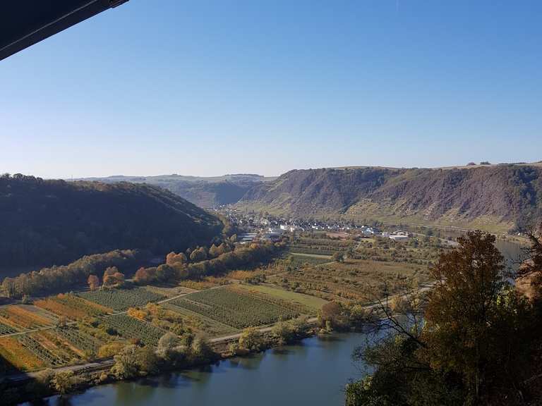 Moseltalbrücke Wanderungen und Rundwege komoot