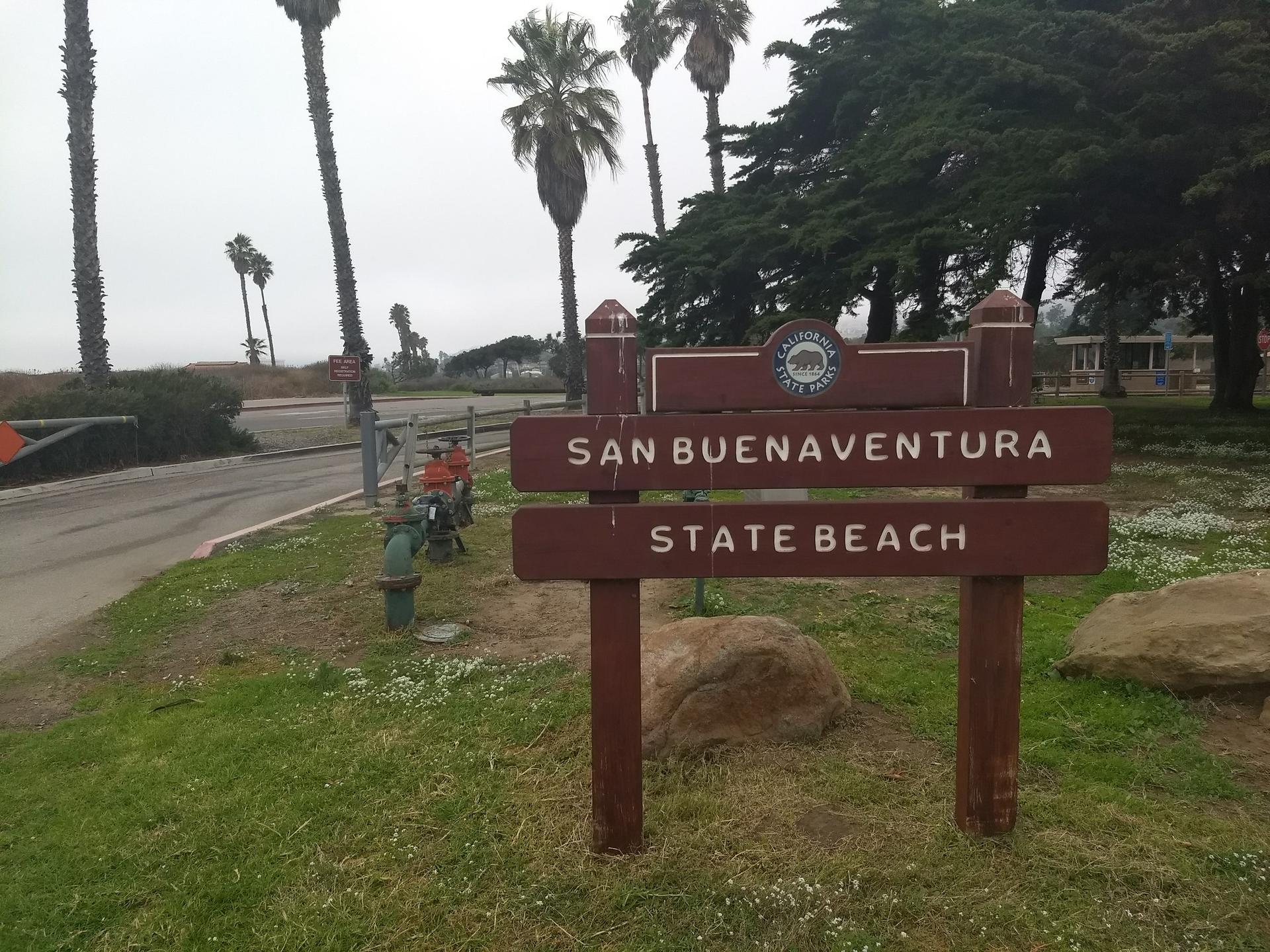 A wooden sign stands near a road with tall palm trees under a cloudy sky.