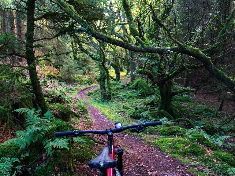 7Stanes - Dalbeattie - Hardrock Trail (RED) | Mountainbike-Tour | Komoot