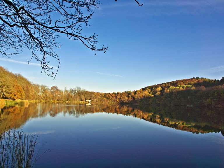 Vatteröder Teich Wanderungen und Rundwege komoot