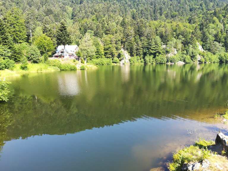 Lac Neuweiher Wanderungen und Rundwege komoot