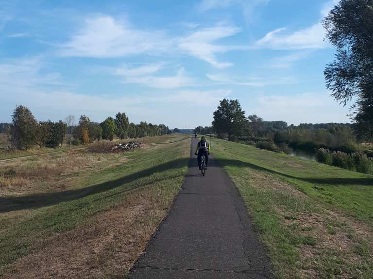 Weg an der Spree DissenStriesow, SpreeNeiße